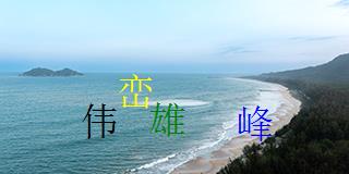 图形验证码